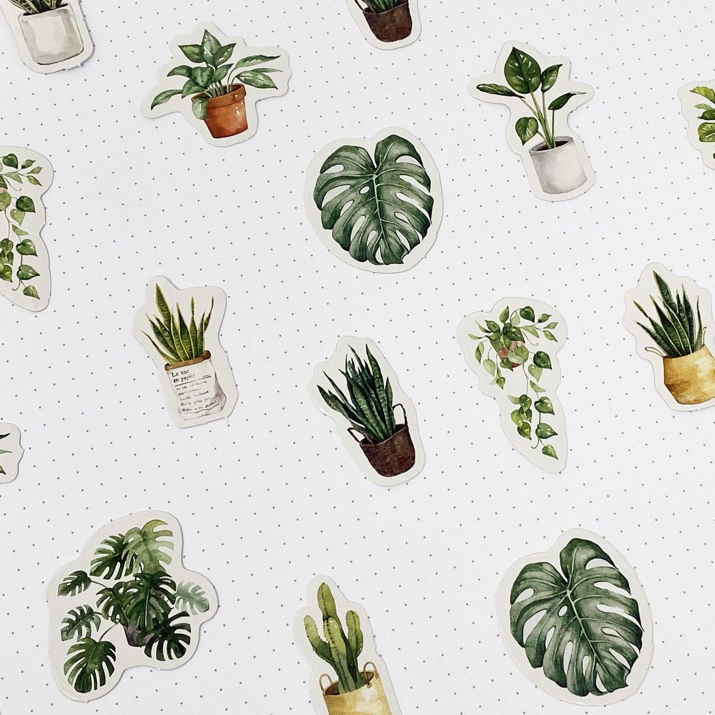 Houseplant Watercolour Stickers - 45 Stickers - Dotgrid